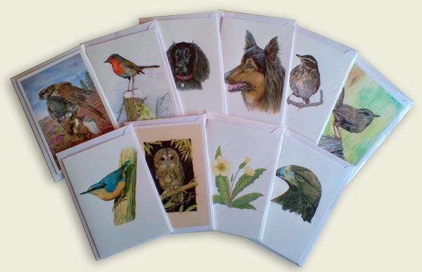 Cards
